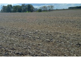 Property photo 83 - EHLE FARMS AUCTION - 118+/- ACRES IN 9 TRACTS IN ALLEN COUNTY, INDIANA